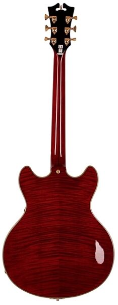 D'Angelico EXDCTP Semi-Hollowbody Electric Guitar (with Case), Cherry Back