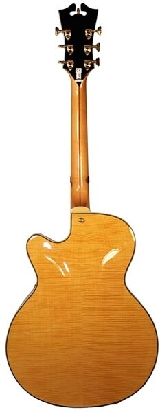 D'Angelico EXDH Hollowbody Electric Guitar (with Case), Natural Back