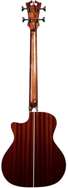D'Angelico PB700 Premier Mott Acoustic-Electric Bass, Back