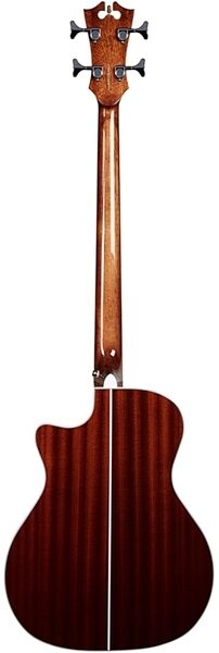 D'Angelico PB700 Premier Mott Acoustic-Electric Bass, Back