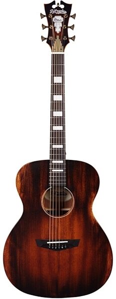 D'Angelico Premier Tammany Acoustic Guitar, Main
