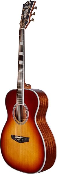 D'Angelico Premier Tammany Acoustic-Electric Guitar, Action Position Back