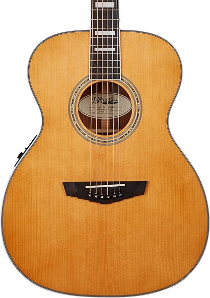 D'Angelico Premier Tammany Acoustic-Electric Guitar, Action Position Back