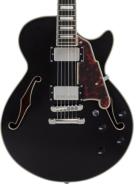 D'Angelico Premier SS Electric Guitar (with Gig Bag), Black Flake, nolabel