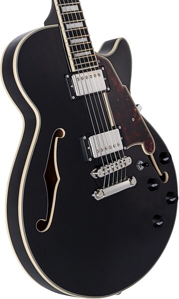 D'Angelico Premier SS Electric Guitar (with Gig Bag), Black Flake, nolabel