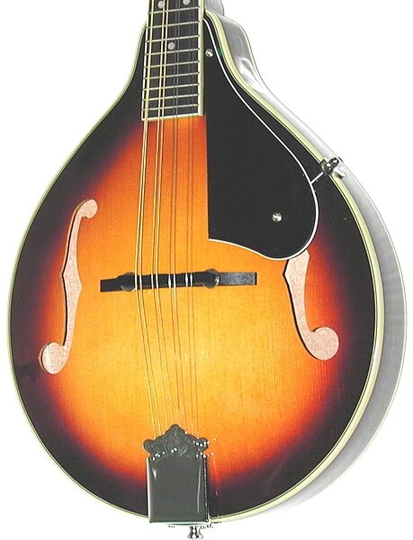 Dean Playmate A A-Style Acoustic Mandolin, Body