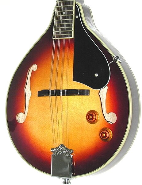 Dean Playmate AE A-Style Acoustic-Electric Mandolin, Body