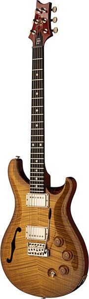 PRS Paul Reed Smith DGT Semi-Hollow Limited Edition McCarty Electric Guitar, Burst, Action Position Back