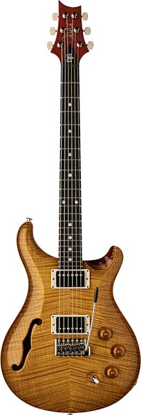 PRS Paul Reed Smith DGT Semi-Hollow Limited Edition McCarty Electric Guitar, Burst, Action Position Back