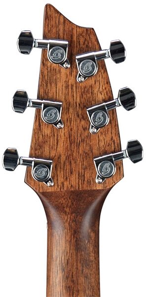 Breedlove Discovery Concert CE Acoustic-Electric Guitar (with Gig Bag), Headstock - Back