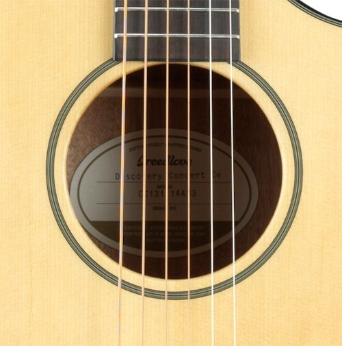 Breedlove Discovery Concert CE Acoustic-Electric Guitar (with Gig Bag), Soundhole