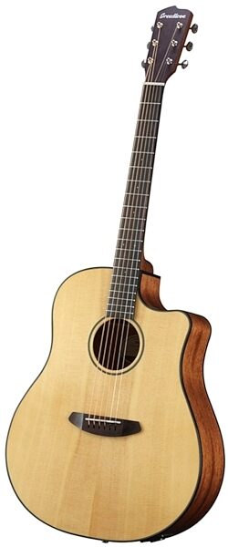 Breedlove Discovery Dreadnought CE Acoustic-Electric Guitar (with Gig Bag), Angle