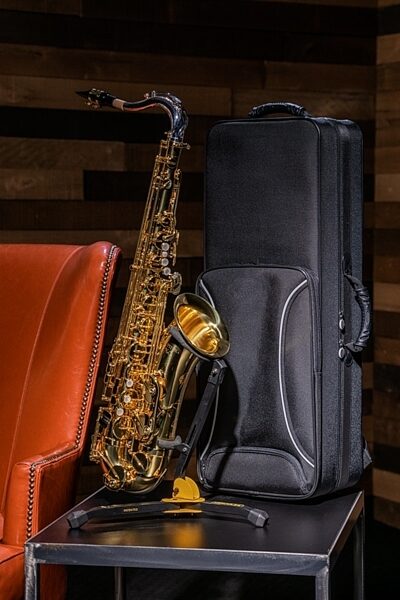 Hercules DS530BB Alto/Tenor Saxophone Stand, With Gig Bag, In Use