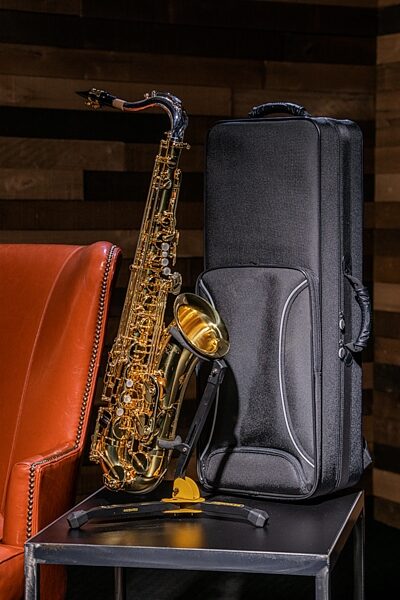 Hercules DS530BB Alto/Tenor Saxophone Stand, With Gig Bag, Main