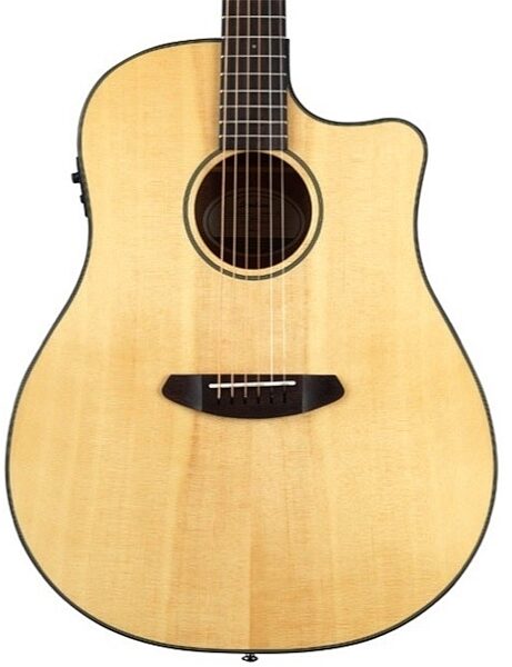 Breedlove Discovery Dreadnought CE Acoustic-Electric Guitar (with Gig Bag), Alt