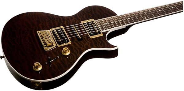 Gibson Nighthawk Standard 2010 Electric Guitar (with Case), Mempshis Mojo - Closeup