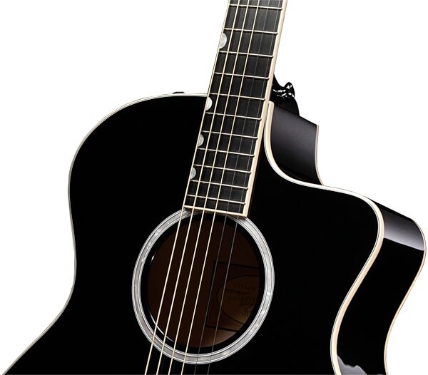 Taylor DDX Doyle Dykes Deluxe Acoustic-Electric Guitar with Gig Bag, Closeup