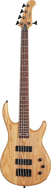 Epiphone Embassy Standard V Electric Bass, Walnut
