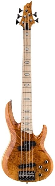 ESP LTD RB1005 Electric Bass, 5-String, Burl Maple Honey Natural