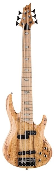 ESP LTD RB-1006 Electric Bass, 6-String, Spalted Maple Natural Gloss