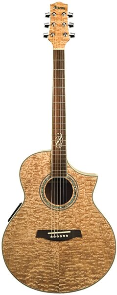 Ibanez EW20ASE Exotic Wood Acoustic-Electric Guitar, Natural