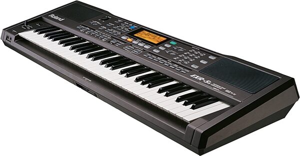Roland EXR5S Interactive Arranger, Perspective