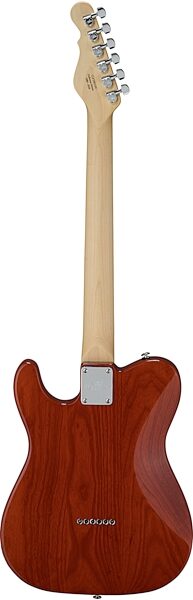 G&L Fullerton Deluxe ASAT Classic Bluesboy Electric Guitar (with Gig Bag), Rear detail Back