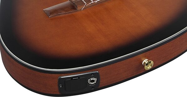 Ibanez FRH10NL Paul Gilbert Acoustic-Electric Classical Guitar, Brown Sunburst Flat, Action Position Back