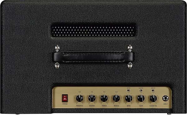 Friedman Runt 20 Guitar Combo Amplifier (20 Watts, 1x12"), New, Detail Control Panel