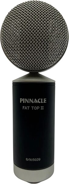Pinnacle Microphones Fat Top II Ribbon Mic Pair, Black, Pair, Action Position Back