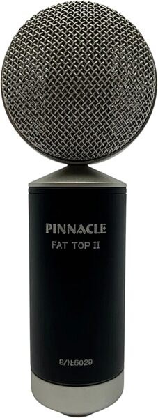 Pinnacle Microphones Fat Top II Active/Passive Ribbon Microphone, Black, Action Position Back