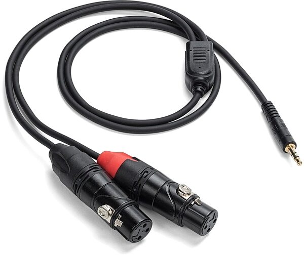 Samson Tourtek Pro 1/8" (3.5mm) TRS to Dual XLR Female Breakout Cable, 3 foot, TPADXF83, Main