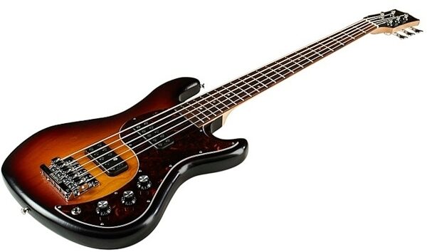 Gibson EB Electric Bass, 5-String (with Case), Fireburst - Closeup