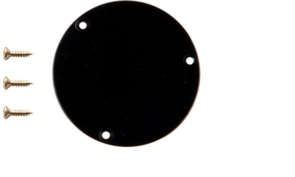 Gibson Switchplate Cover, Black, Action Position Front