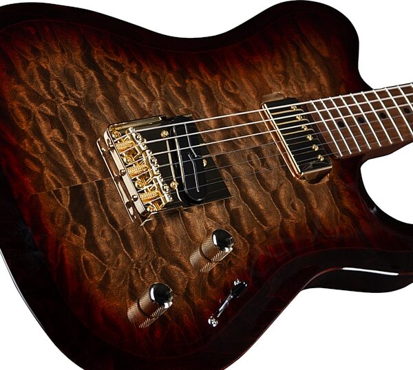 Godin Artisan TC Electric Guitar, Maple Fingerboard (with Case), Whiskey Burst, Action Position Back