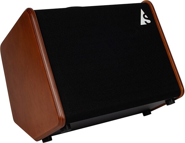 Godin Acoustic Solutions ASG-8 Amplifier (120 Watts), Action Position Back