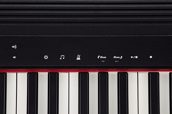 Roland GO-61P GO:PIANO Personal Digital Piano, View 5
