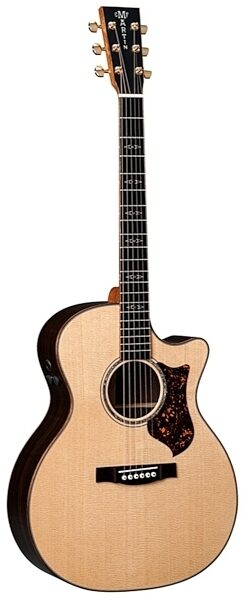 Martin GPCPA1 Plus Performing Artist Acoustic-Electric Guitar (with Case), Main