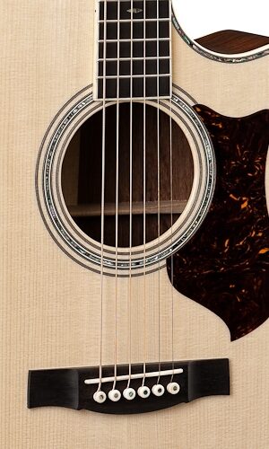 Martin GPCPA1 Madagascar Rosewood Acoustic Guitar (with Case), Rosewood
