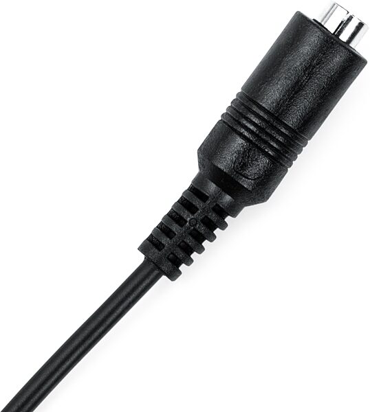 Gator 8-Output Female Daisy Chain Power Cable, New, Action Position Back
