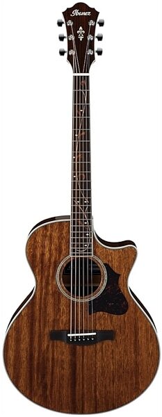 Ibanez AE245 Acoustic-Electric Guitar, Main
