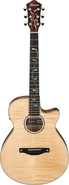 Ibanez AEG750 Acoustic-Electric Guitar, view