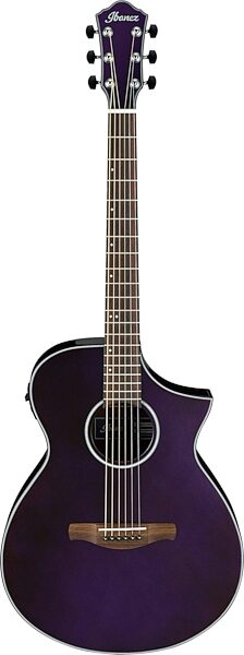 Ibanez AEWC10 Artwood Exotic Acoustic-Electric Guitar, Action Position Back