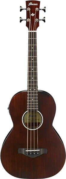 Ibanez AVNB1E Parlor Acoustic-Electric Bass, Action Position Back