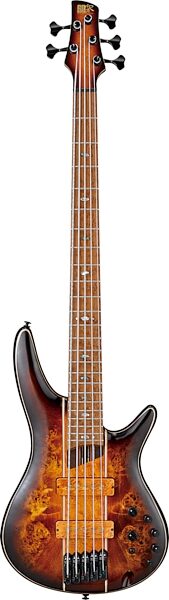 Ibanez Premium SR5PBLTD Bass, 5-String (with Gig Bag), Action Position Back