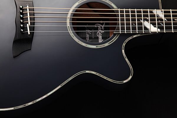 Takamine 2019 Limited Edition Moon Thinline Acoustic-Electric Guitar, Action Position Back