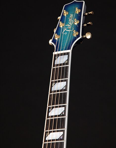 Takamine TSP178AC Thinline Acoustic-Electric Guitar (with Gig Bag), Action Position Back