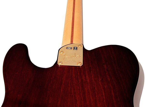 Fender Select Thinline Telecaster Electric Guitar, Maple Fingerboard (with Case), Closeup View 4