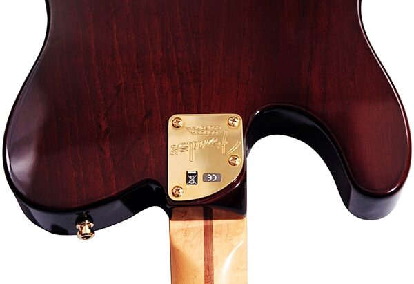 Fender Select Thinline Telecaster Electric Guitar, Maple Fingerboard (with Case), Neck Plate