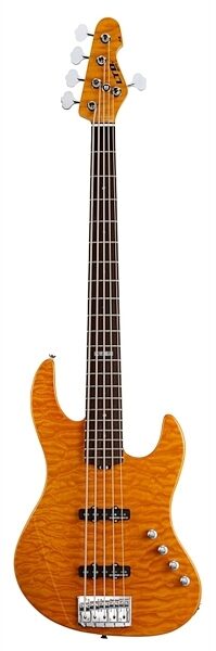 ESP LTD Elite J5 Electric Bass, 5-String (with Case), Amber